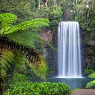 9 Best Things To See & Do In North Queensland