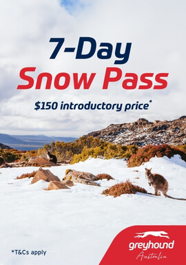 7-Day Snow Pass